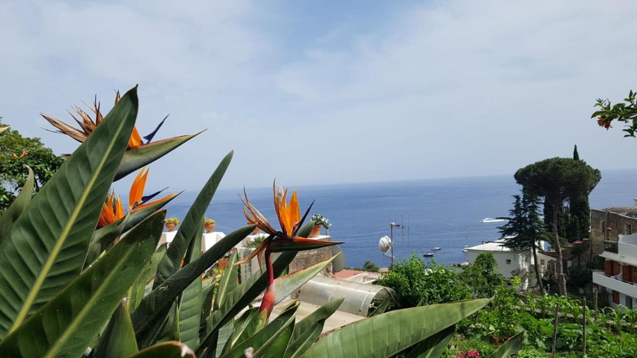 Casa Anna Villa Positano Eksteriør billede