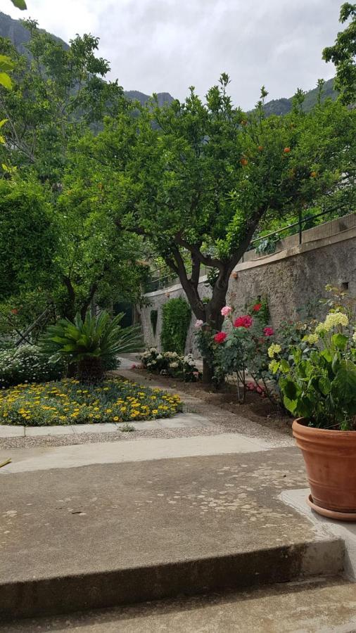 Casa Anna Villa Positano Eksteriør billede